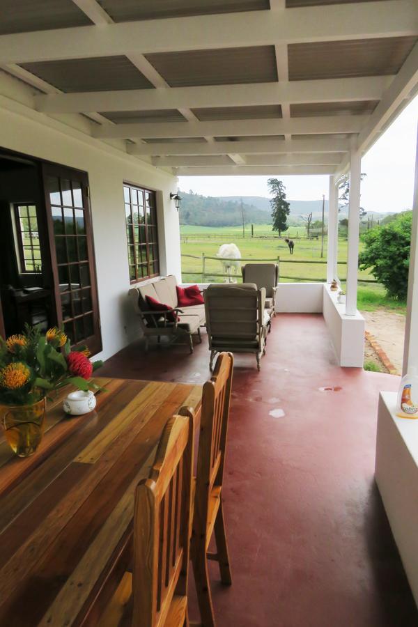 Вилла Out Of Plett Плеттенберг-Бей Экстерьер фото